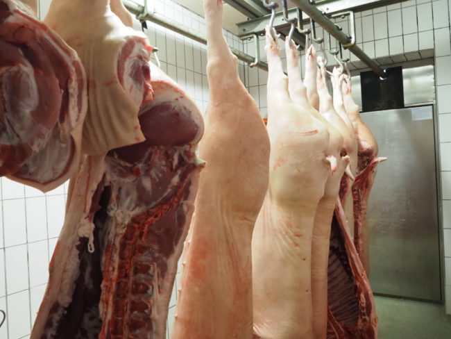 Metzgerei Hartwich Mitterteich