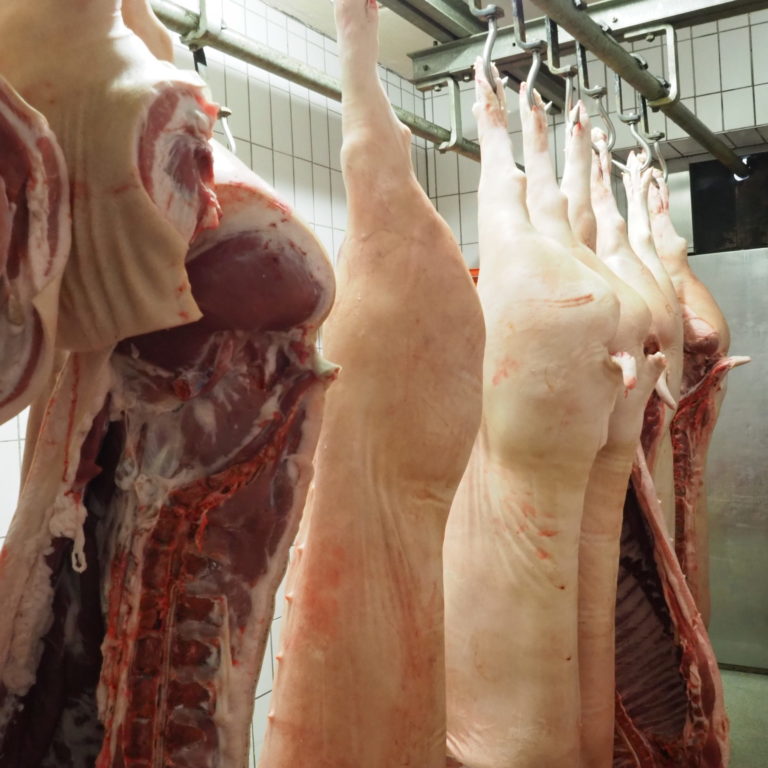 Metzgerei Hartwich Mitterteich